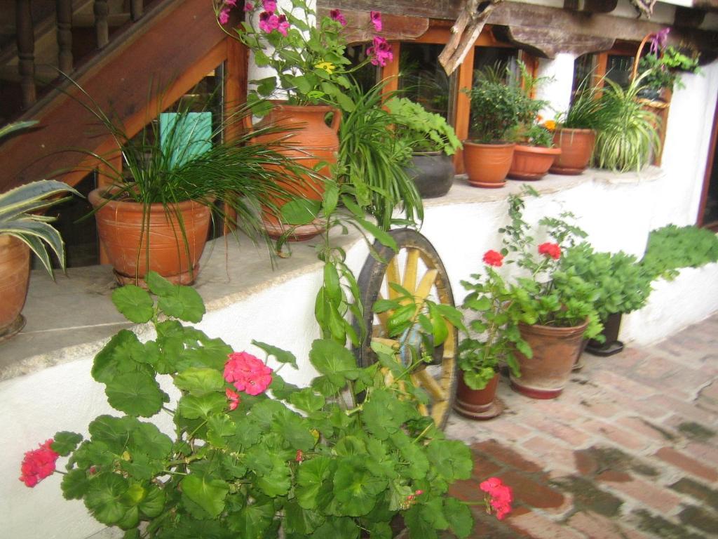 Dedo Pene Inn Bansko Exterior photo